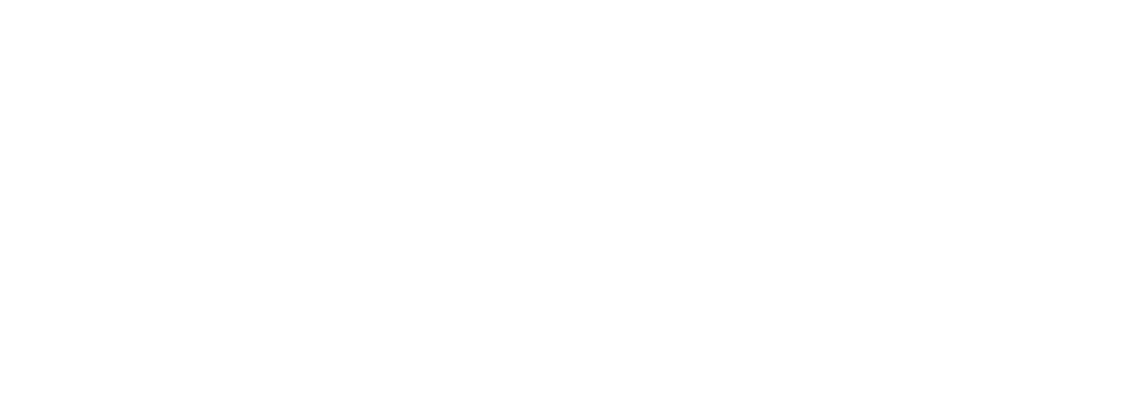 Boroda Expert